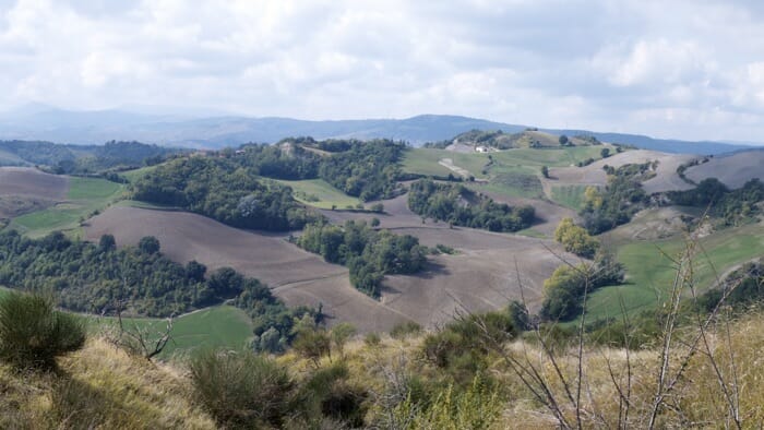 Countryside to the west of Dozza, emilia romagna