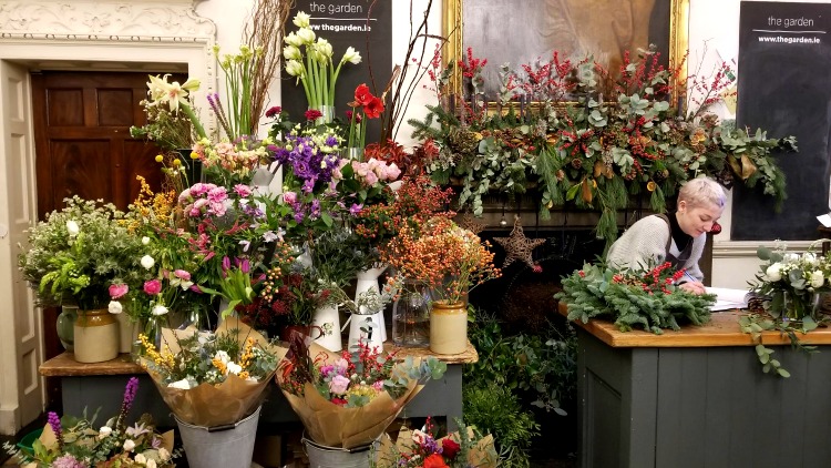 photo, image, flower shop, exploring ireland