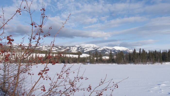 photo, image, millennium trail, solo travel to whitehorse