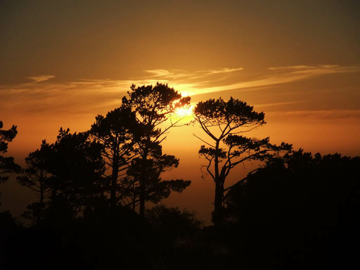 photo, image, sunset, signal hill