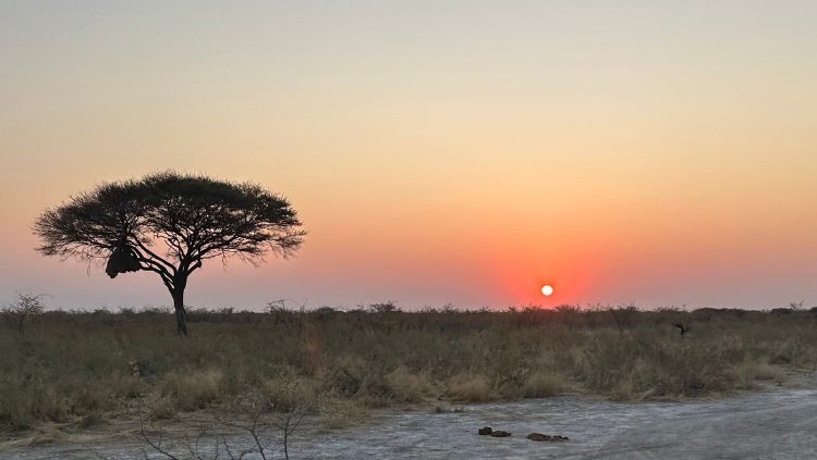 image, sunset, namibia