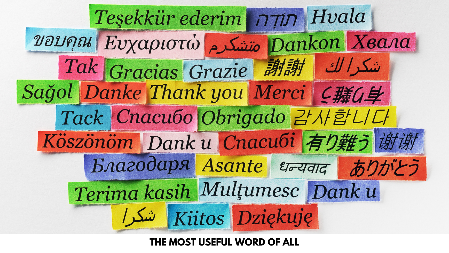 thank you in many languages for when you don't speak the local language